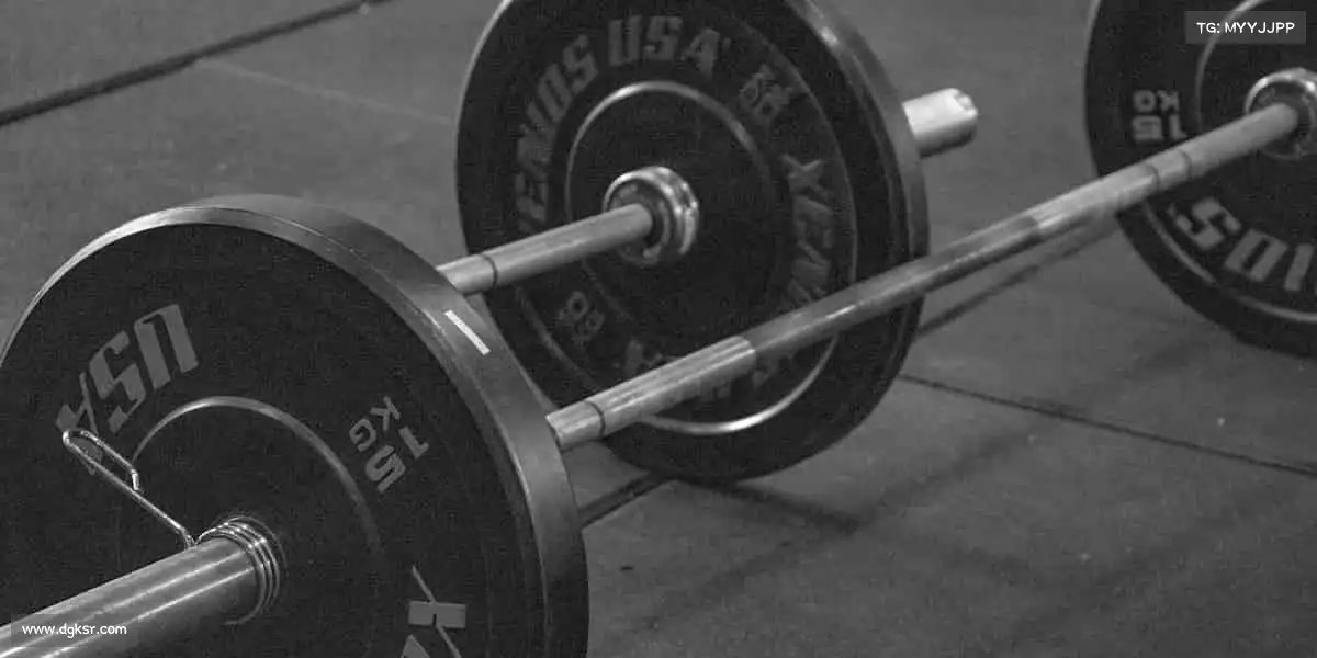 森林舞会多人版——以运动为笔，书写属于你的健康篇章！🏋️‍♀️